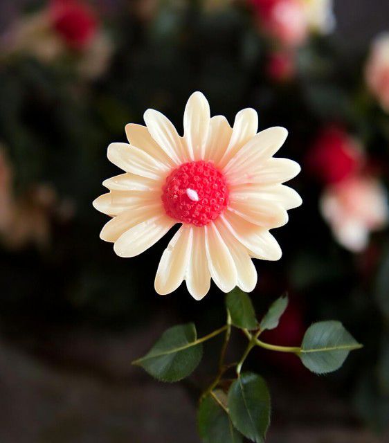 Daisy Flower Candle